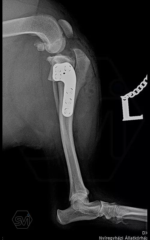 TPLO 2.4 mm with polyaxial precontured plate 4